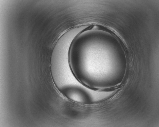 X0000067521289200604150150