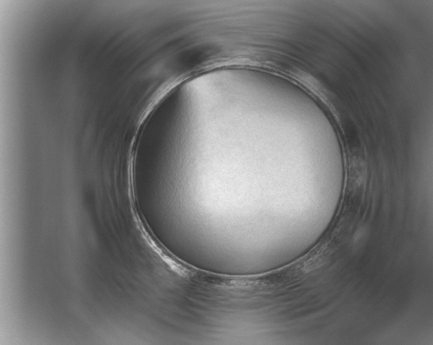 X0000067521290200604150150