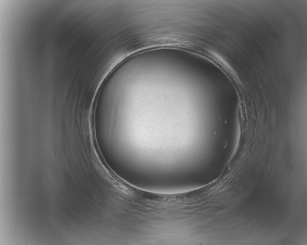 X0000067521291200604150150