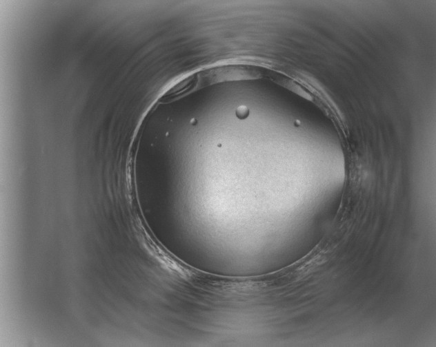 X0000067521292200604150150