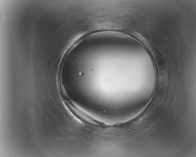 X0000067521293200604150150