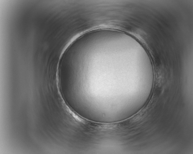 X0000067521294200604150150