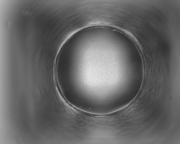 X0000067521295200604150150