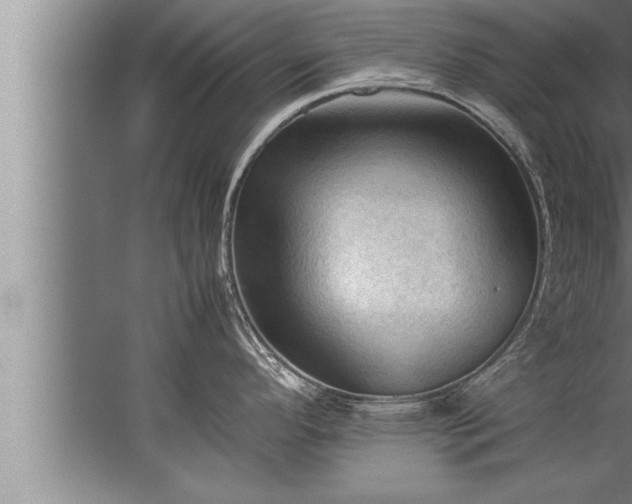 X0000067521296200604150150