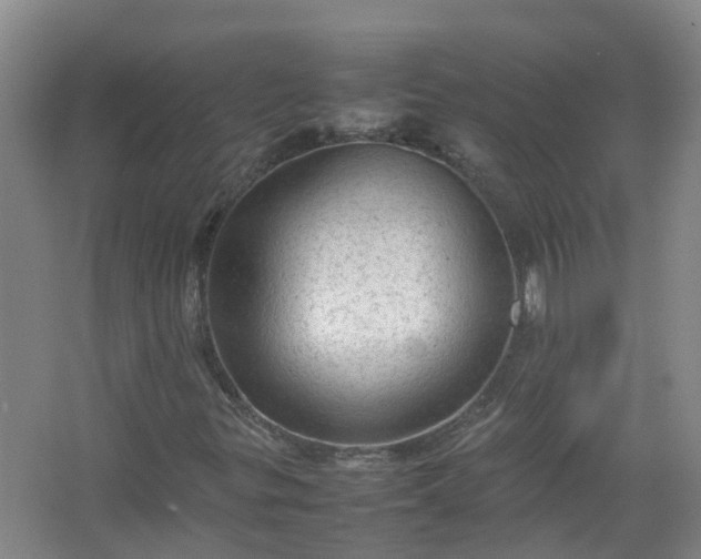 X0000067521299200604150149