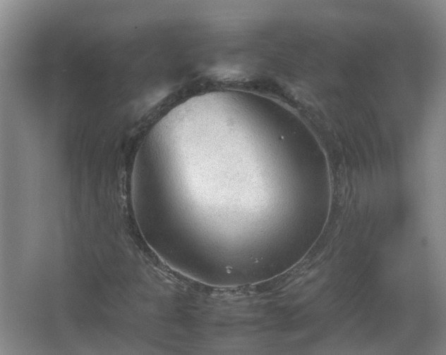 X0000067521301200604150149