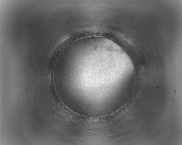 X0000067521302200604150149