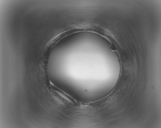 X0000067521304200604150149