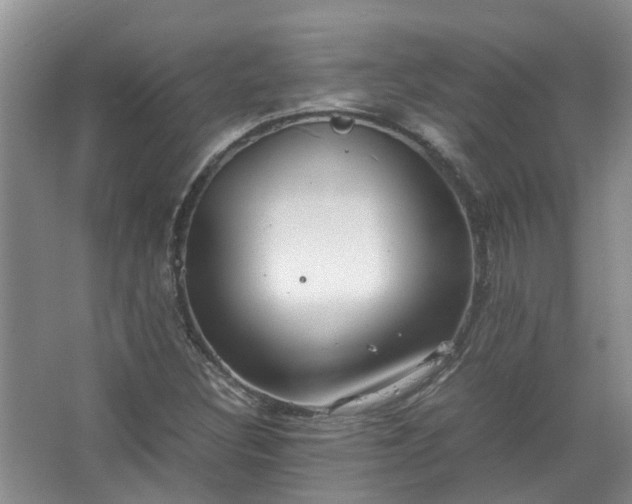 X0000067521308200604150149