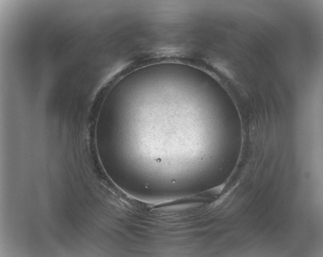 X0000067521309200604150149