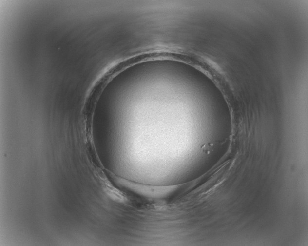 X0000067521310200604150149