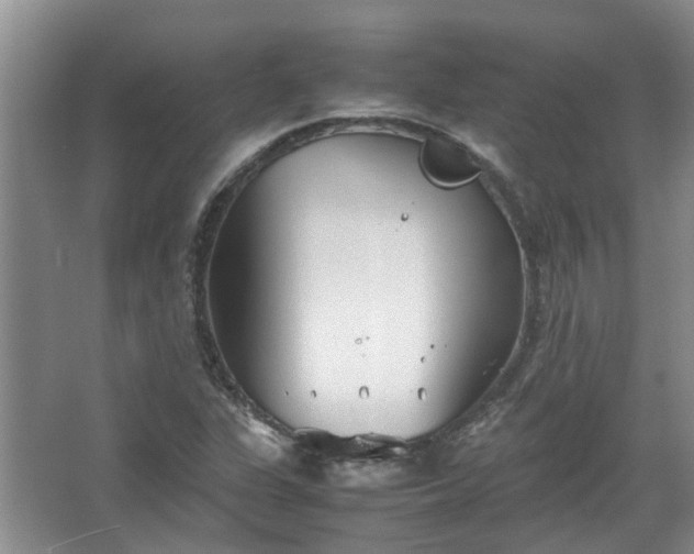 X0000067521311200604150149