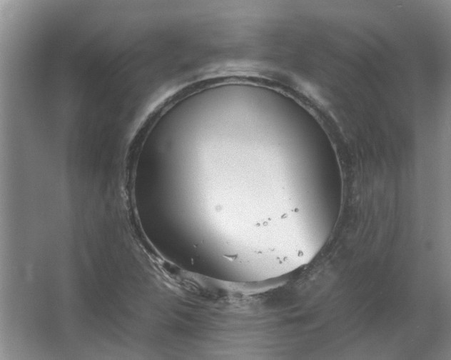 X0000067521312200604150149