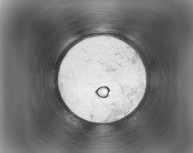 X0000067521314200604150149