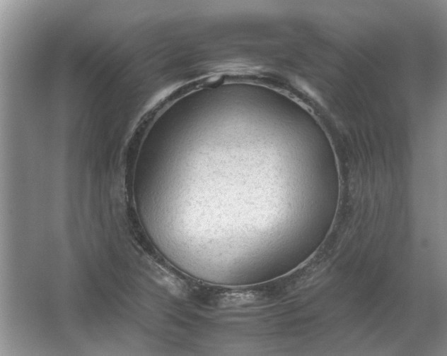 X0000067521315200604150149