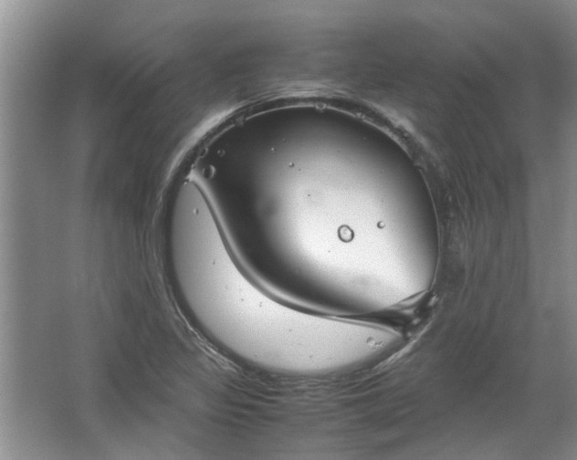 X0000067521317200604150149