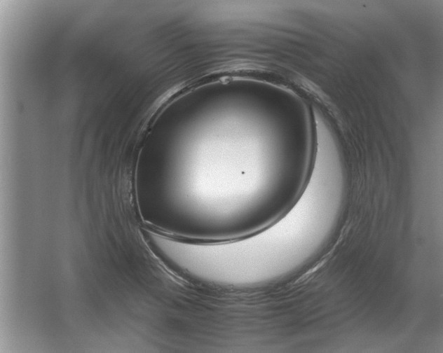 X0000067521321200604150150