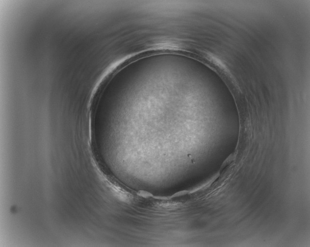 X0000067521323200604150150