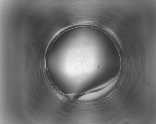 X0000067521324200604150150