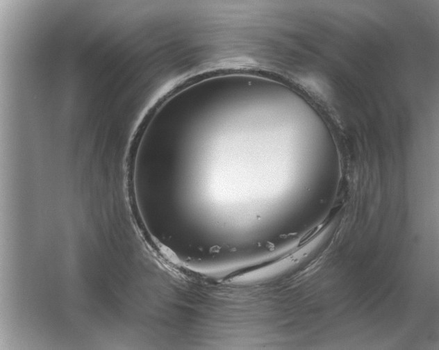 X0000067521326200604150150