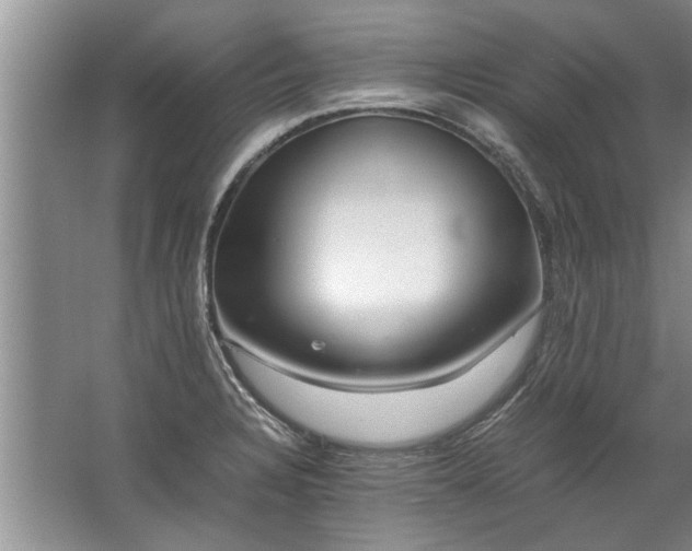 X0000067521328200604150150