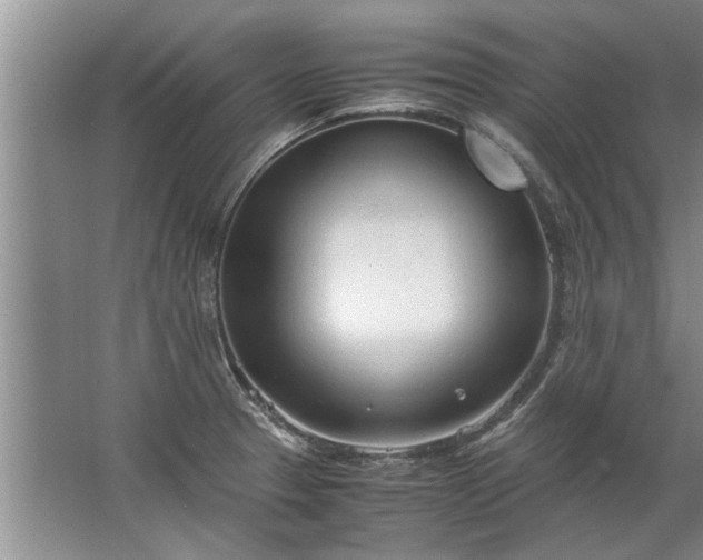 X0000067521329200604150150