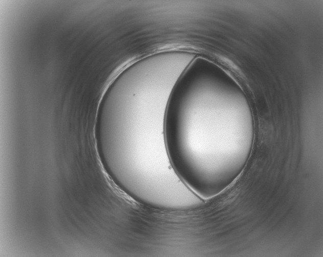 X0000067521330200604150150