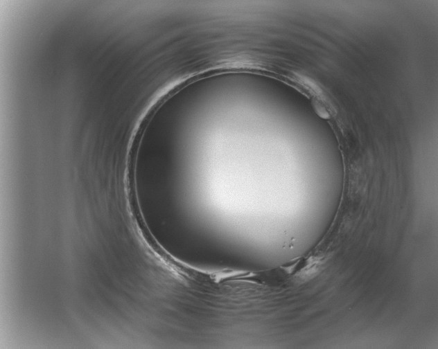 X0000067521331200604150150