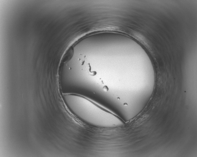 X0000067521332200604150150