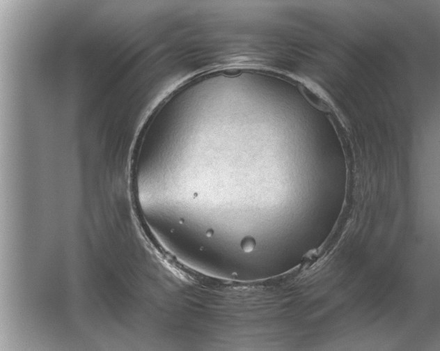 X0000067521333200604150150