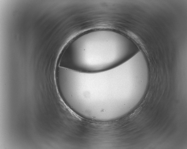 X0000067521334200604150150