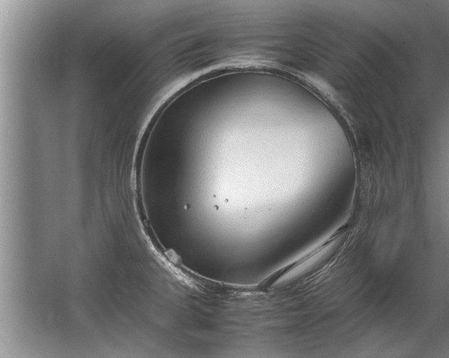 X0000067521335200604150150