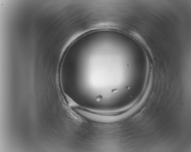 X0000067521336200604150150