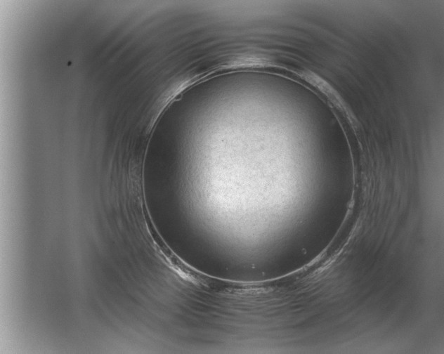 X0000067521337200604150150