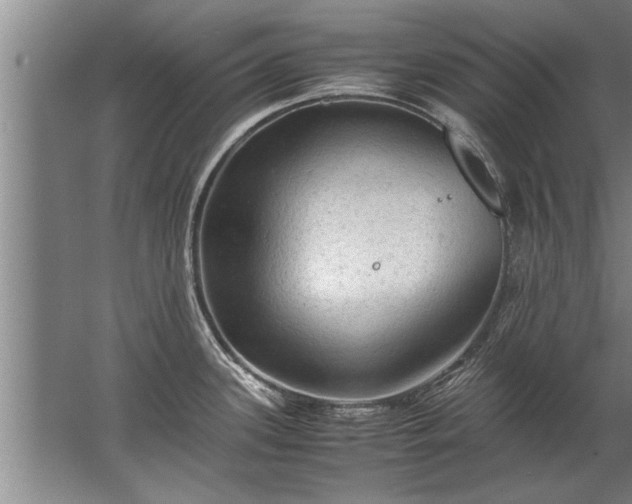 X0000067521339200604150150