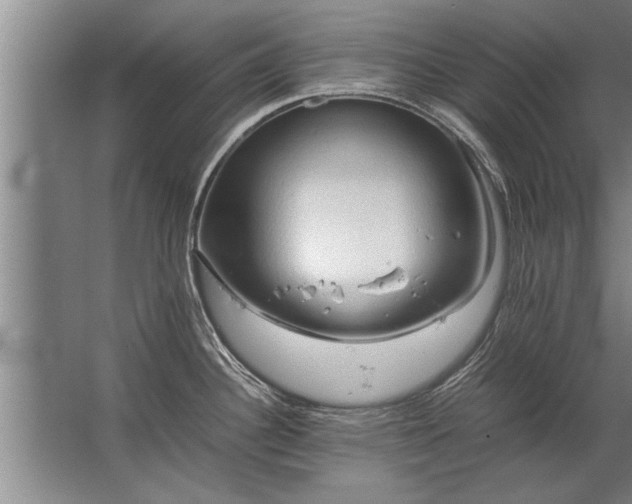 X0000067521340200604150150