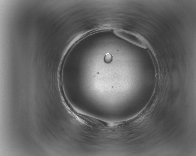 X0000067521341200604150150