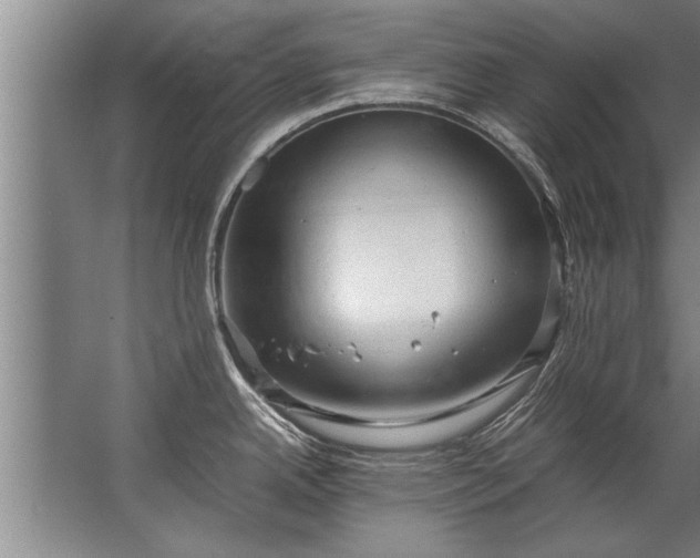 X0000067521342200604150150