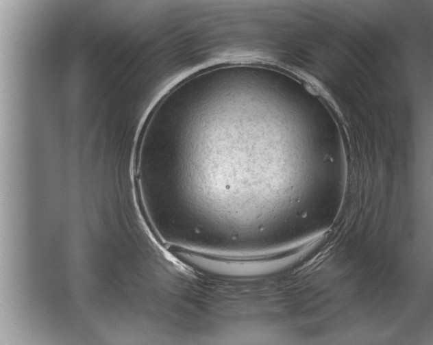 X0000067521343200604150150