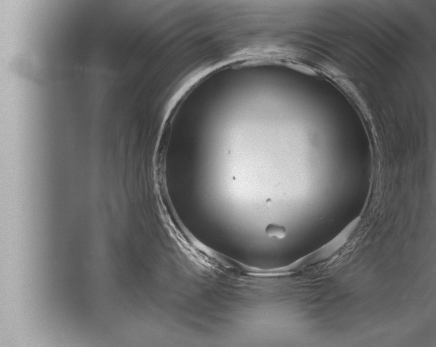 X0000067521344200604150150