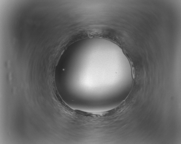 X0000067521345200604150149