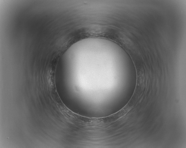 X0000067521346200604150149