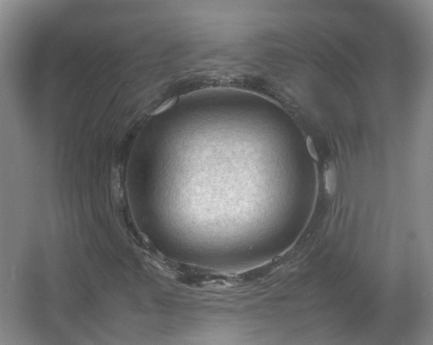 X0000067521347200604150149