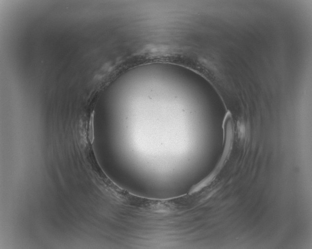 X0000067521348200604150149