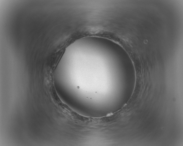 X0000067521349200604150149