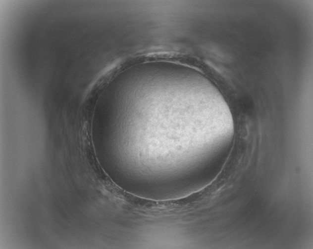 X0000067521351200604150149