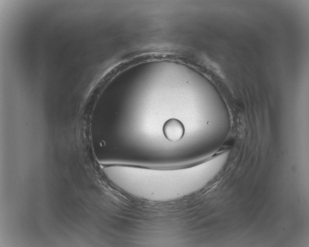 X0000067521352200604150149