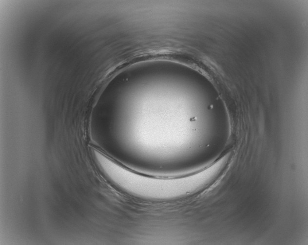 X0000067521353200604150149