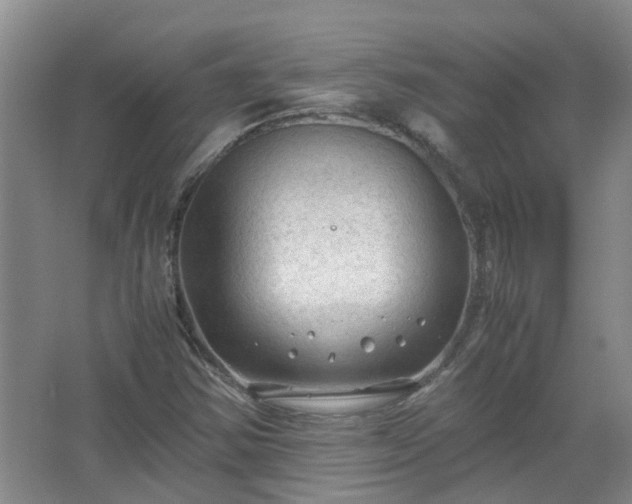 X0000067521354200604150149