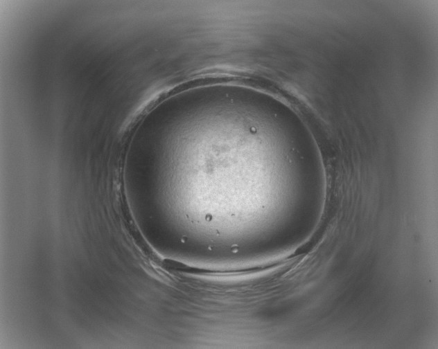 X0000067521355200604150149